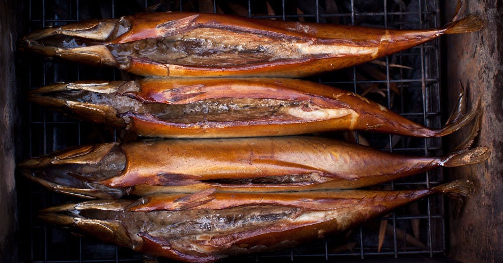 Smoked mackerel in a smoking device after the smoking process has finished and the fish is ready. Slightly charred and light brown red colour