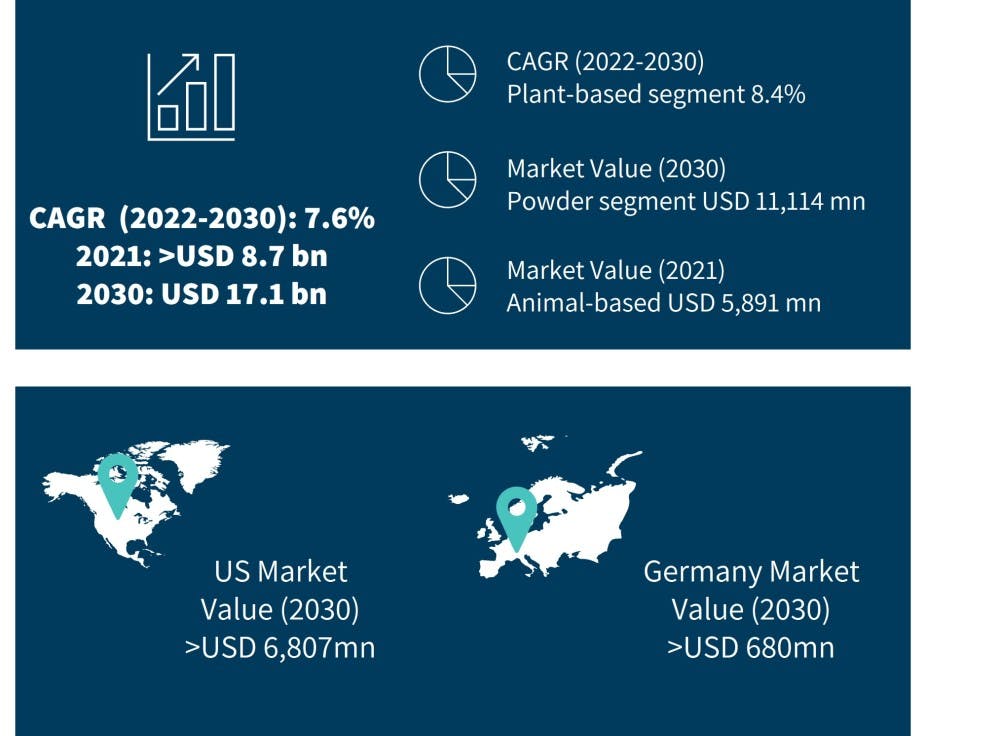 Infographic Market Projects in the Protein Supplements Market (Source: Global Markets Insights). CAGR (2020-2030): 7.6%. Global value in 2021 USD 8.7 billon up to USD 17.1 billion by 2030. CAGR growth (2022-2030) for plant-based segment equals 8.4%; Market value by 2030 for powder segment equals USD 11,114 million; Market value (2021) of animal-based segment equals 5,891 million. USA market value by 2030 greater than USD 6,807 million; Germany market value by 2030 greater than USD 680 million